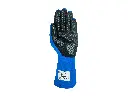 TG2.2 BLU PALMO.webp
